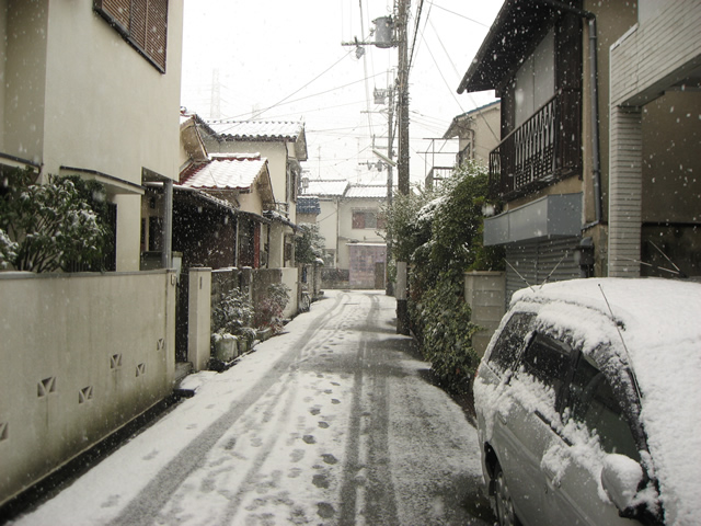 家の前の積雪は久しぶり！！ photo(写真)(1)