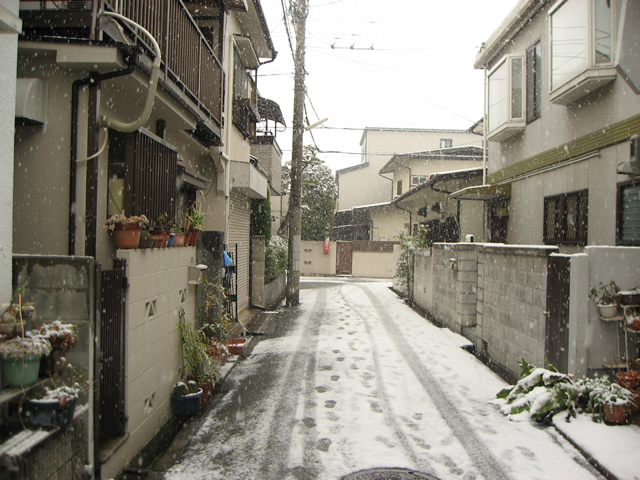 家の前の積雪は久しぶり！！ photo(写真)(2)