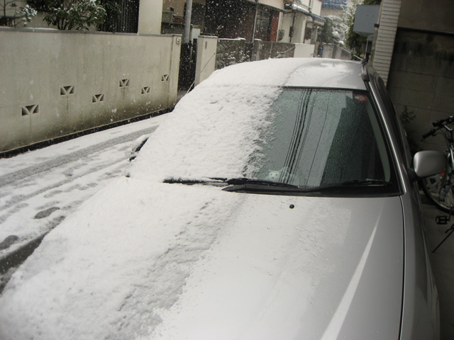 家の前の積雪は久しぶり！！ photo(写真)(3)